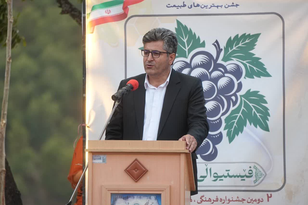 انگور سیاه میرآباد روایت ظرفیتهای ناب آذربایجانغربی + تصاویر