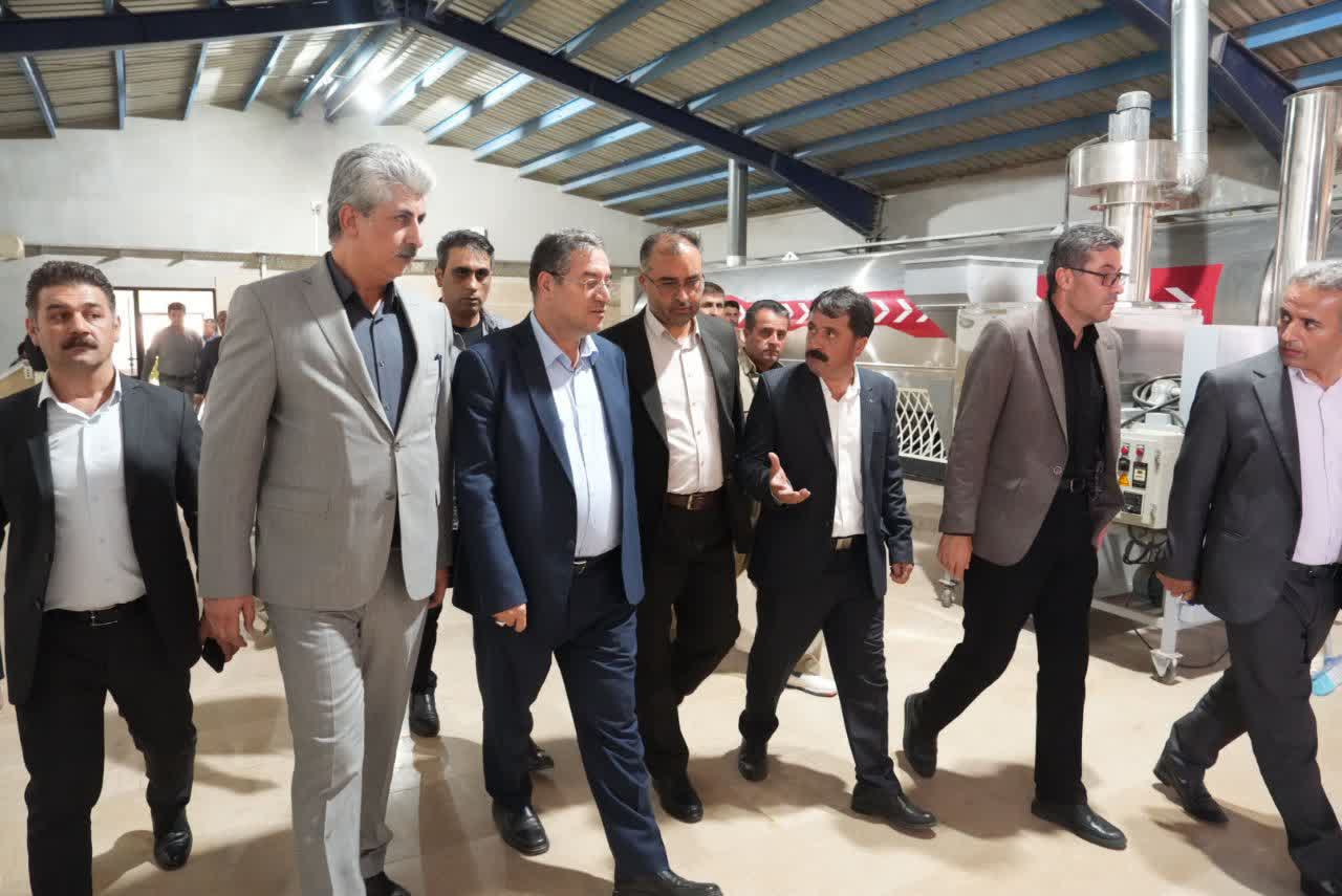 افتتاح واحد تولیدی خشکبار و آجیل سیروان در مهاباد + تصاویر