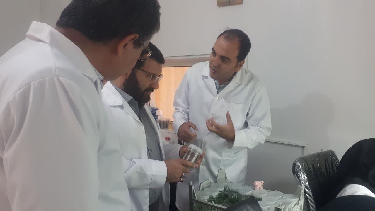 بازدید معاون هماهنگی امور اقتصادی استاندار آذربایجان غربی از سه شرکت تولیدی و صنعتی در ارومیه + تصاویر