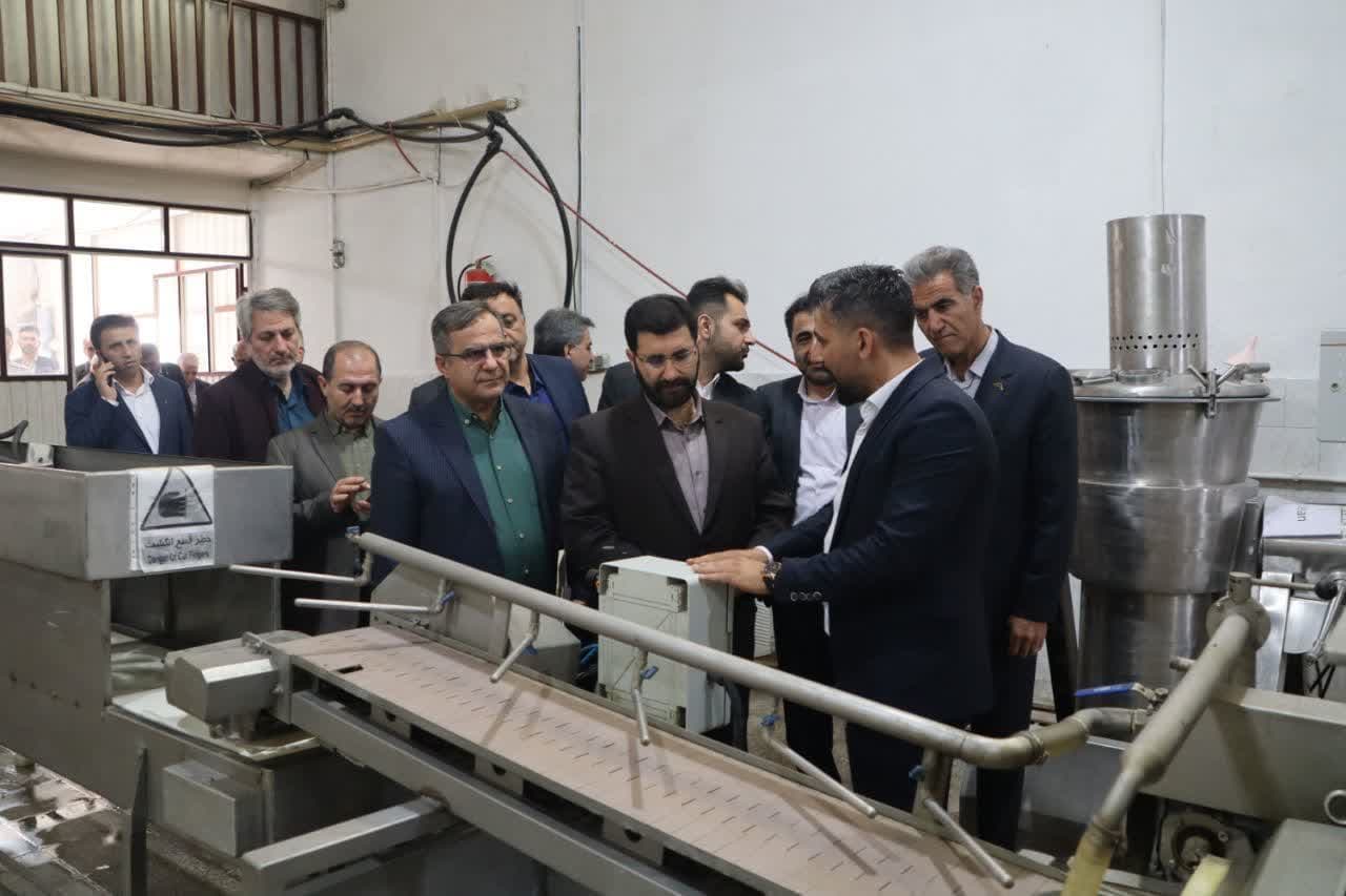 بازدید معاون هماهنگی امور اقتصادی استاندار آذربایجان غربی از دو واحد تولیدی در ارومیه + تصاویر