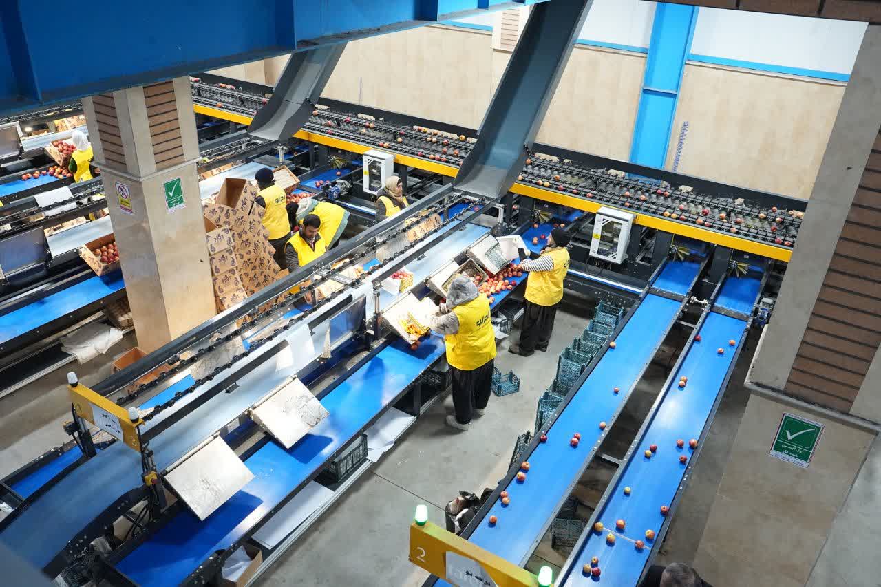 افتتاح واحد سورتینگ و بسته‌بندی میوه 20 هزار تنی در شاهین‌دژ + تصاویر