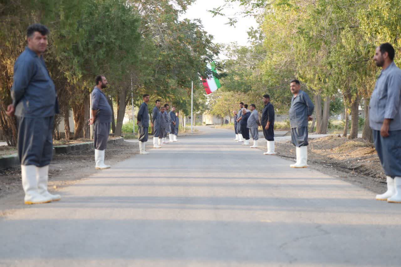 افتتاح واحد تولیدی مرغ گوشتی اروم گوهردانه در مهاباد + تصاویر