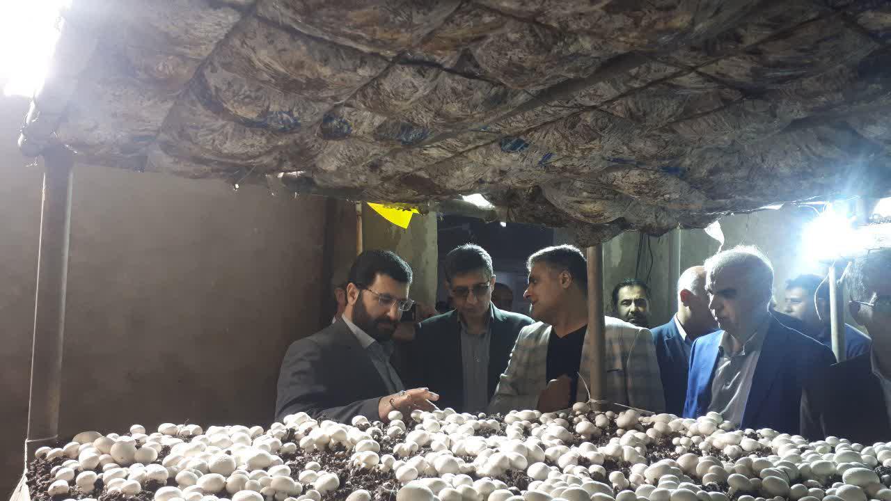 آلبوم تصویری / بازدید معاون هماهنگی امور اقتصادی استاندار آذربایجانغربی از دو واحد تولیدی و صنعتی در ارومیه