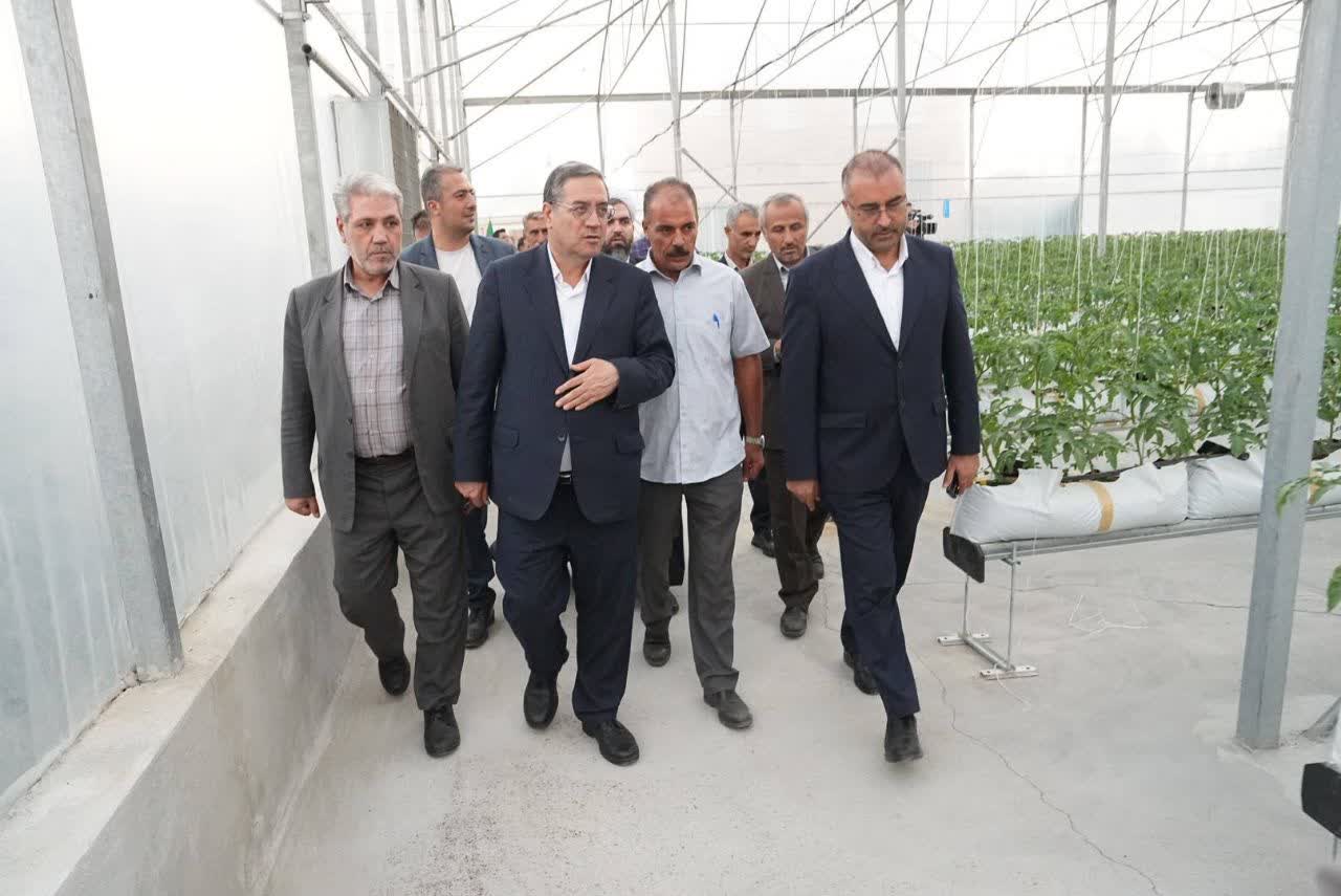گلخانه فولادلو ارومیه به بهره‌برداری رسید + تصاویر