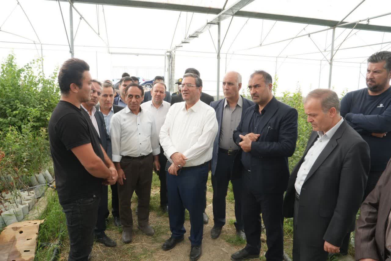 بازدید استاندار آذربایجانغربی از شهرک گلخانهای خلیفهلو + تصاویر