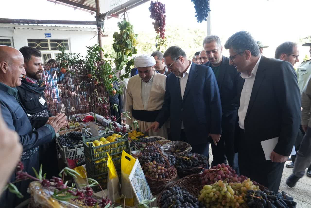 جلوهای از ظرفیتهای بومی میرآباد در جشنواره انگور سیاه + تصاویر