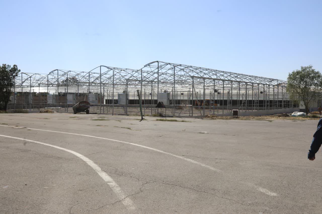 بازدید استاندار آذربایجانغربی از گلخانه هیدروپونیک امامزاده غریب حسن ارومیه + تصاویر