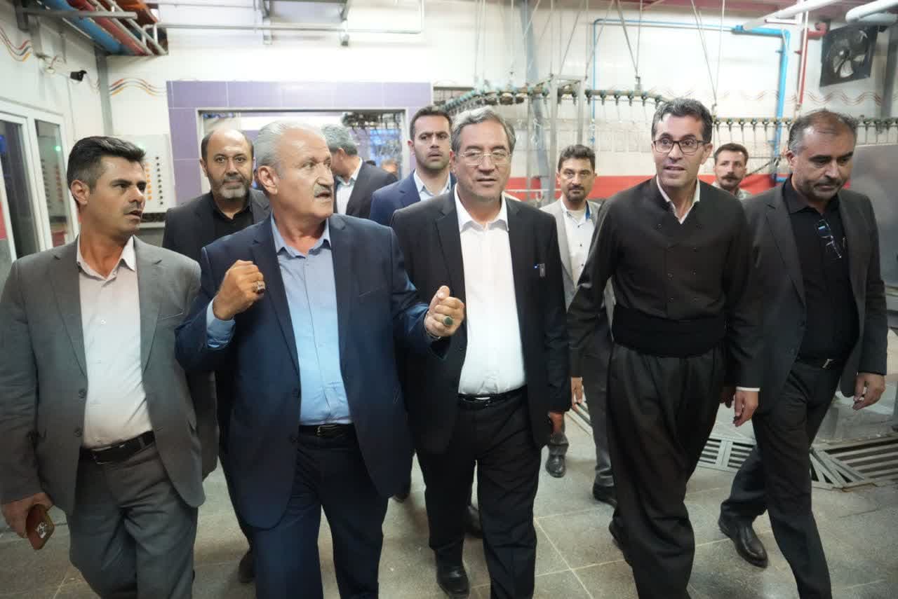 بازدید استاندار آذربایجانغربی از مجتمع زنجیرهای هما مرغ مهاباد + تصاویر