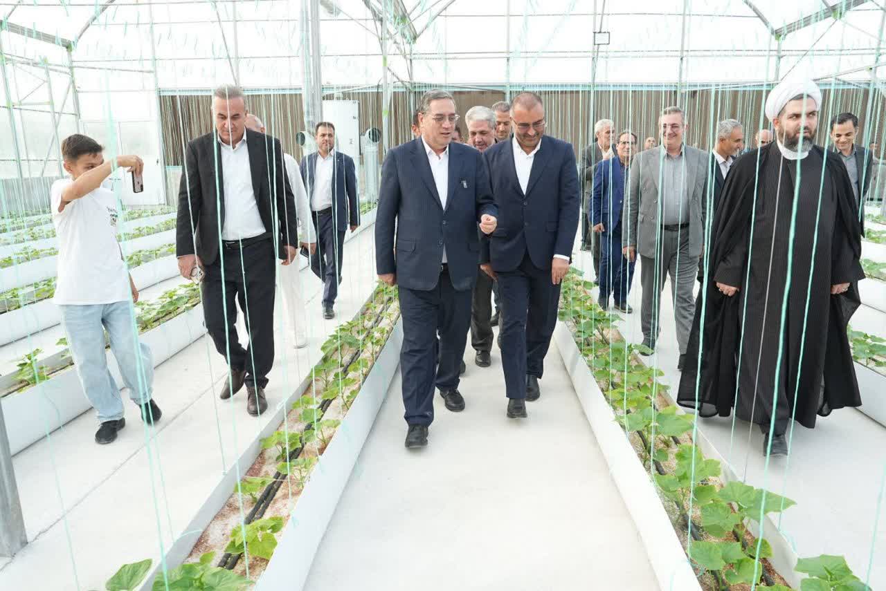 افتتاح گلخانه هیدروپونیک باراندوز ارومیه با سرمایهگذاری 60 میلیارد تومانی + تصاویر