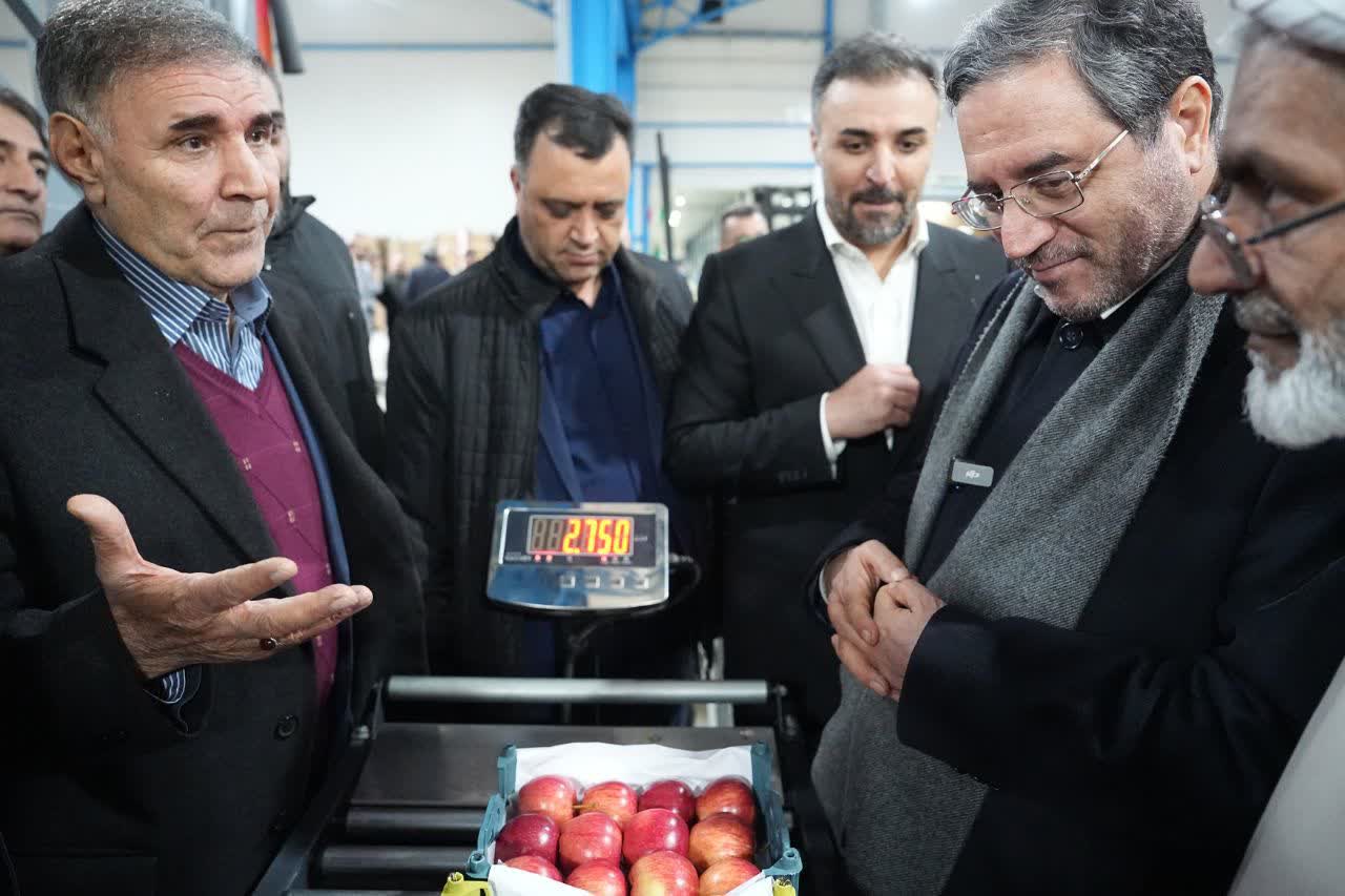 افتتاح واحد سورتینگ و بسته‌بندی میوه 20 هزار تنی در شاهین‌دژ + تصاویر